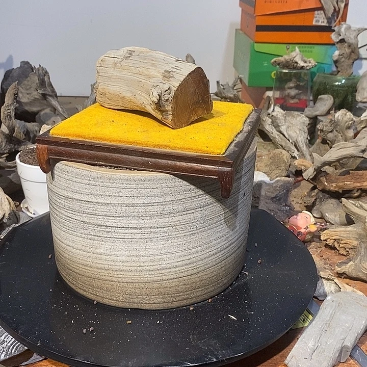 昊***比太行崖柏，欢迎来到