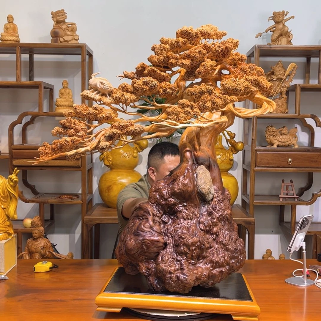 香榧木崖柏迎客松精品
