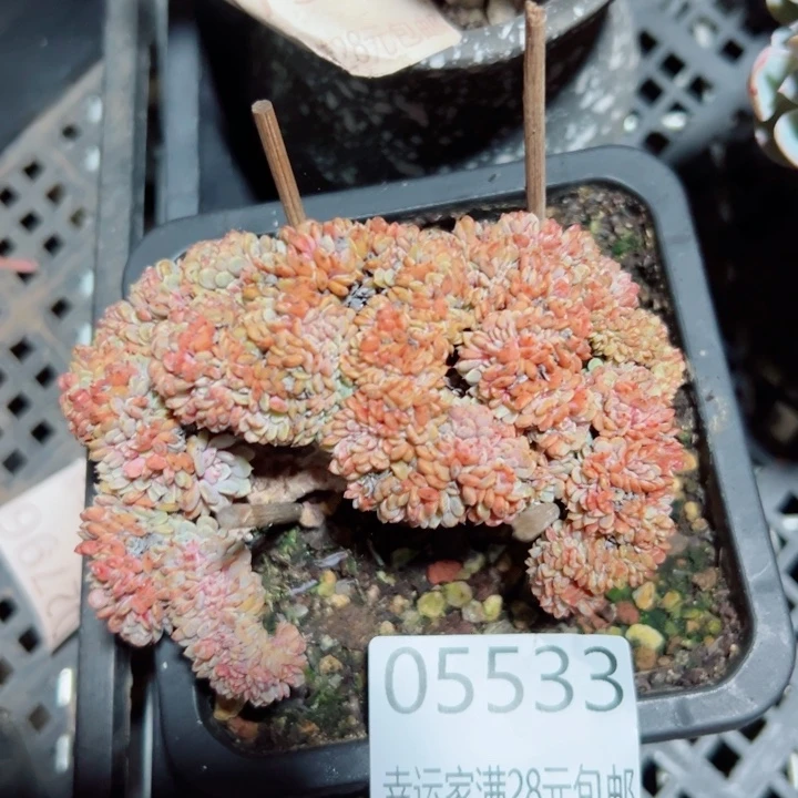 幸运的是我还没遇到