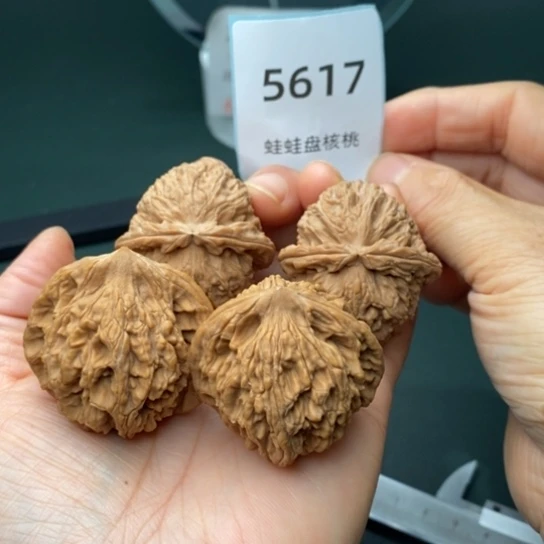 把件文玩核桃38白狮子虎头5617