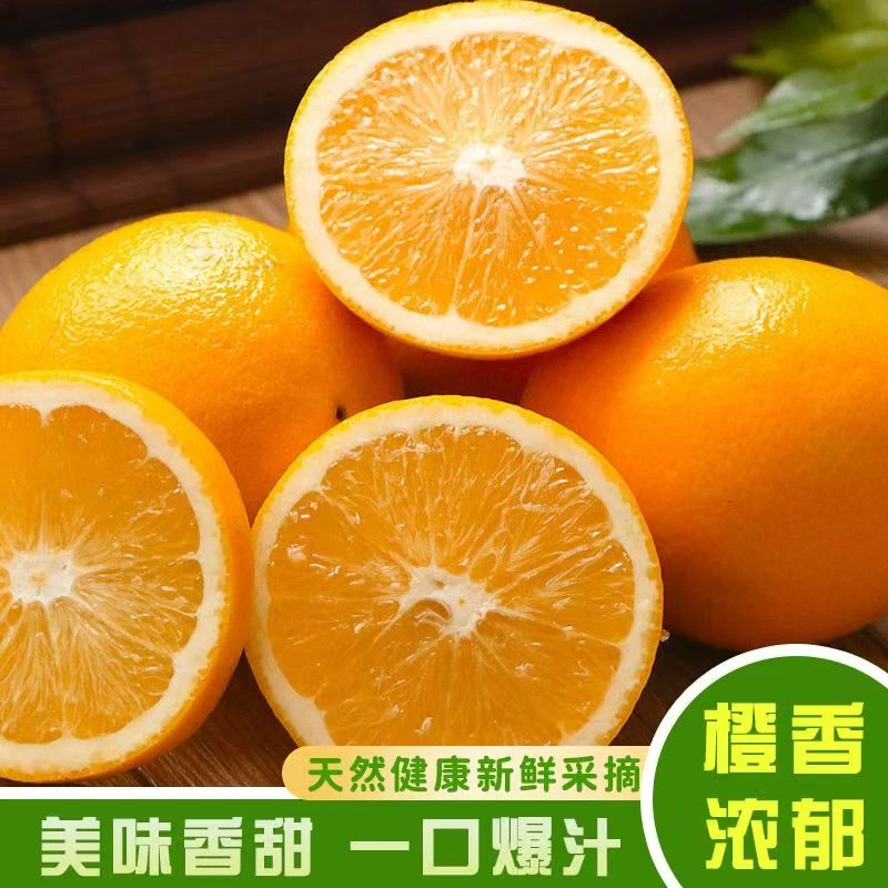 新鲜脐橙现摘应季水果爆甜多汁