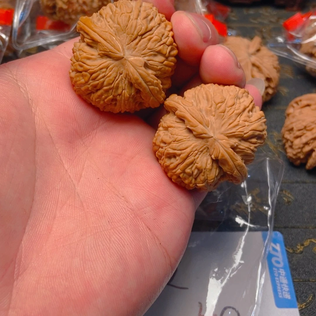 把件文玩核桃1*.白狮子