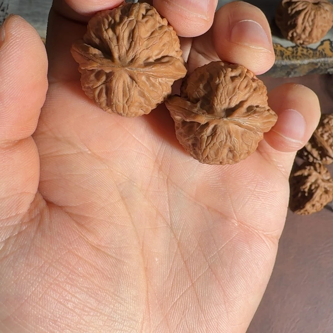 文玩核桃吊坠31稀有宫灯