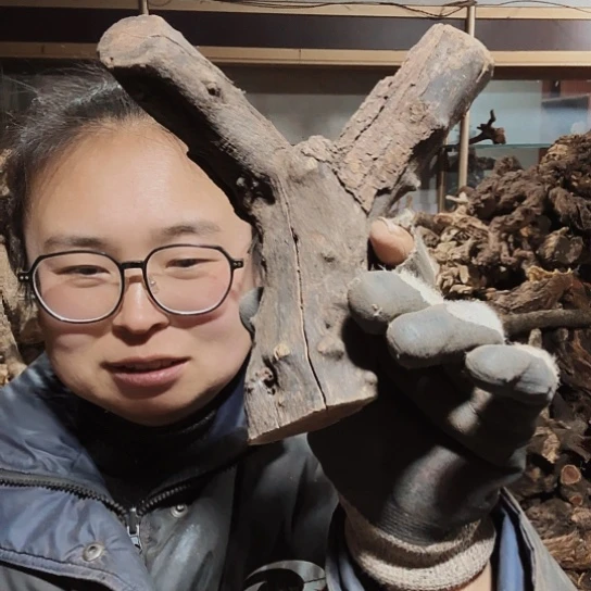 香榧木?****?火琉璃等毛看看摆件