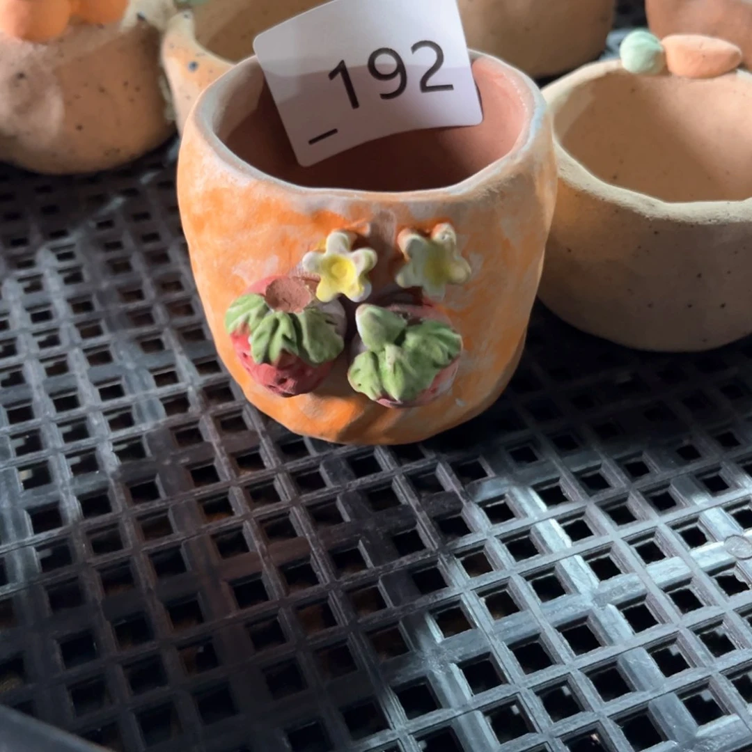 红陶192花盆瑕疵1个