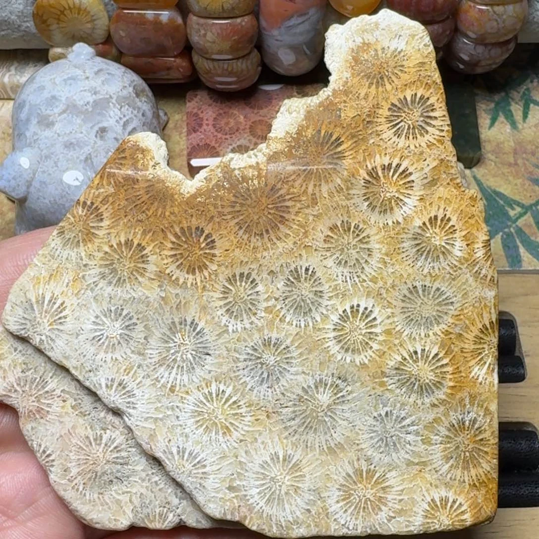 硅化玉天然有机玉石保真色未镶嵌