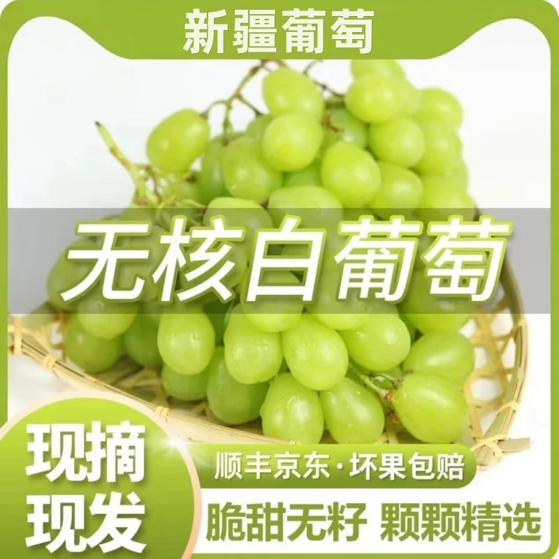 【顺丰/JD】新疆无核白葡萄吐鲁番马奶提葡萄清甜可口无籽无核S1