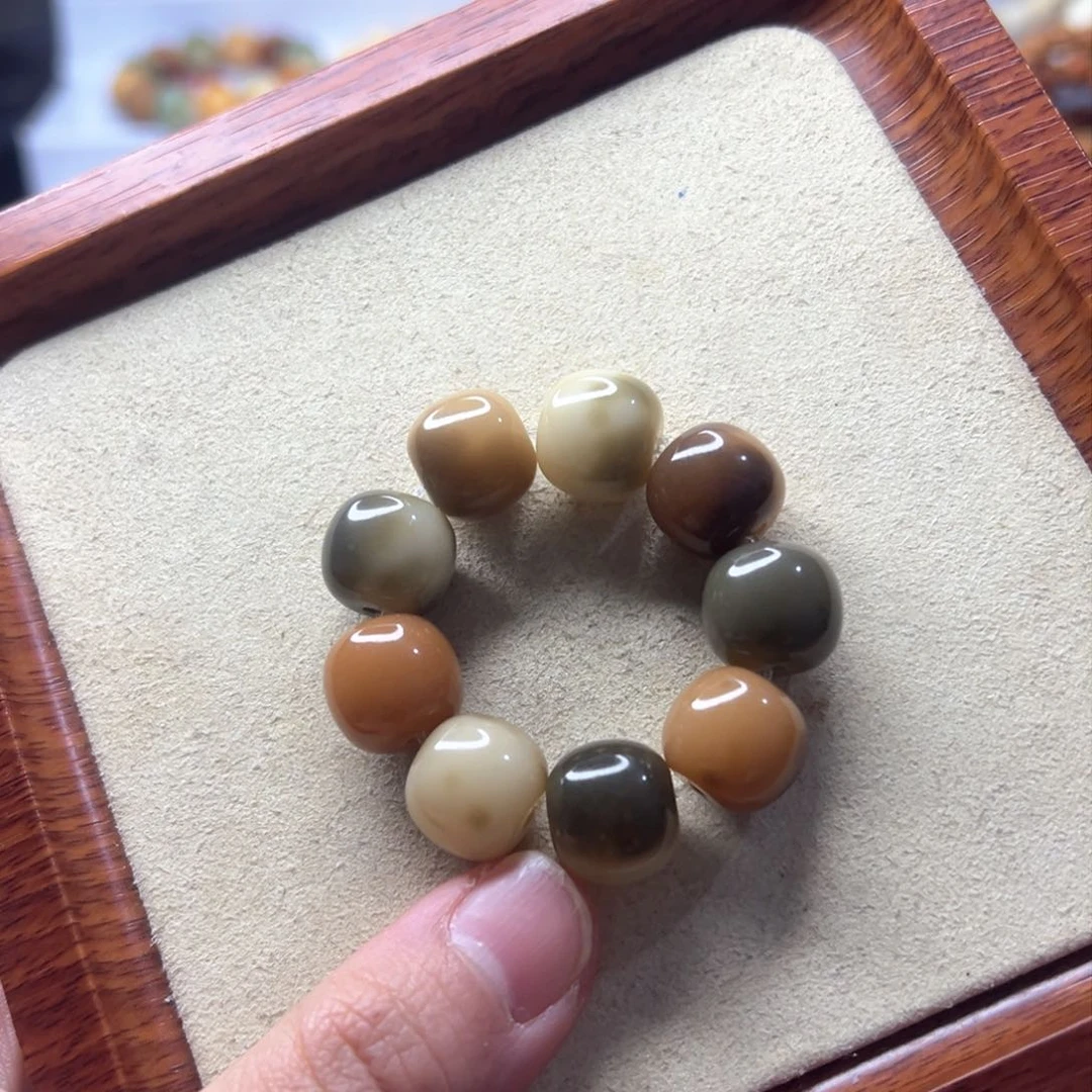 菩提根/象牙果手串酷***团福利价格