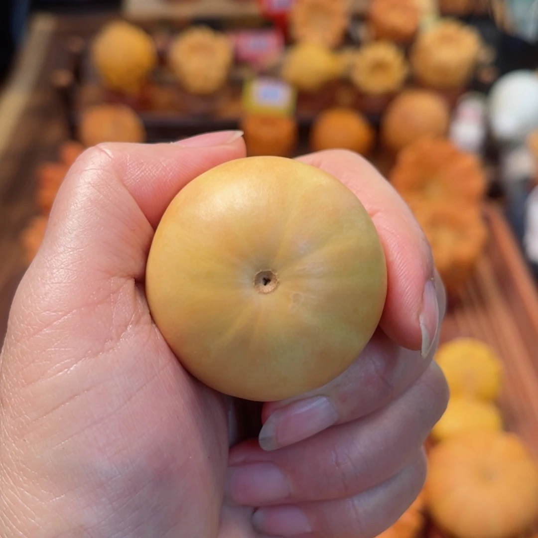 鑫*墨西哥葫芦西瓜去