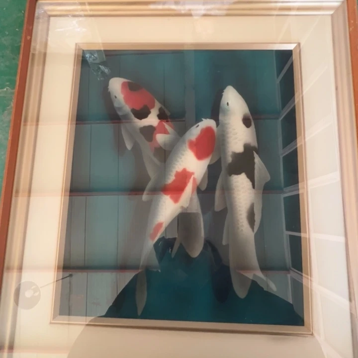 中古版画默认微瑕不退不换