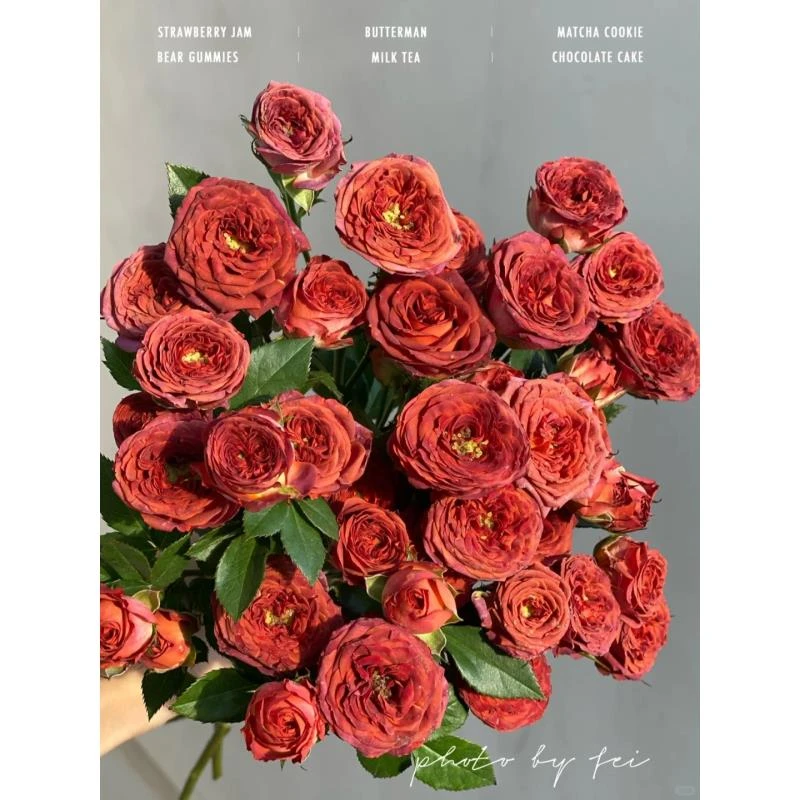 定制精选巧克力泡泡-多头玫瑰（实物以直播间为准）收到花先醒花