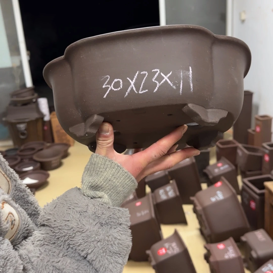 紫砂花盆呜呜呜呜