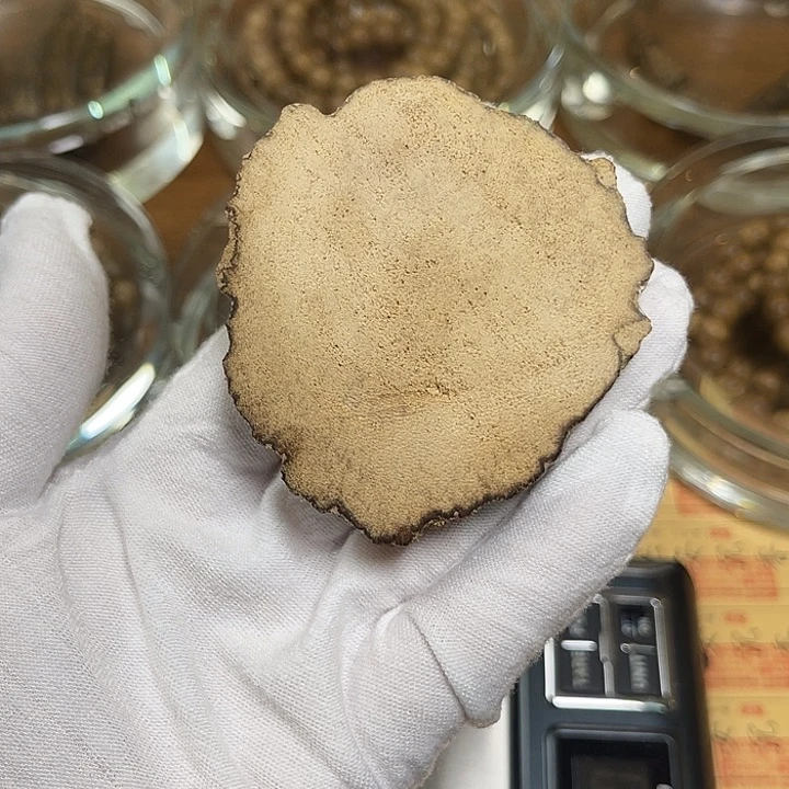 手串沉香往**风芽庄都蓬88mm6.6克天然