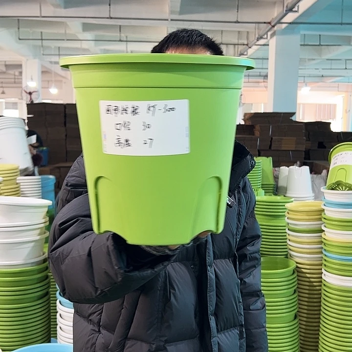 正品圆控口30高27果绿无托4只