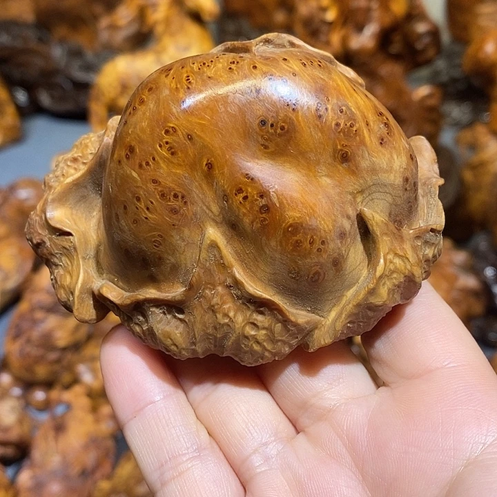 柏木太行崖柏陈化