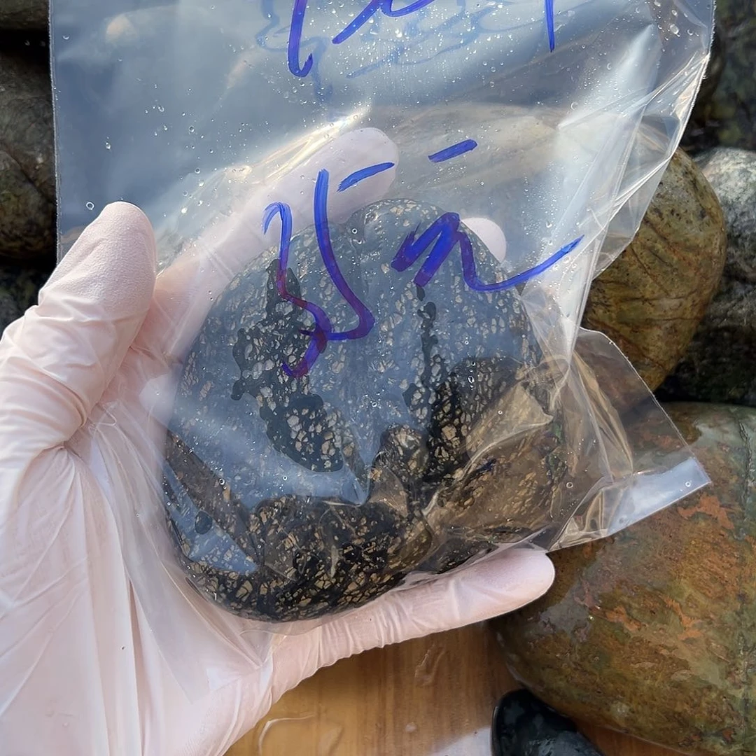 未镶嵌蛇纹石玉西藏藏玉药王石倍****赵