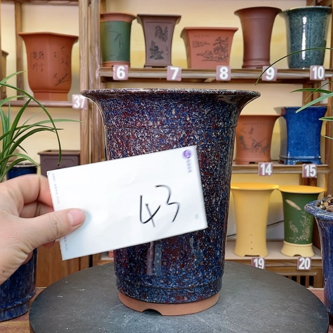 【闪购商品】紫砂花盆淡****8兰花255888555555555877