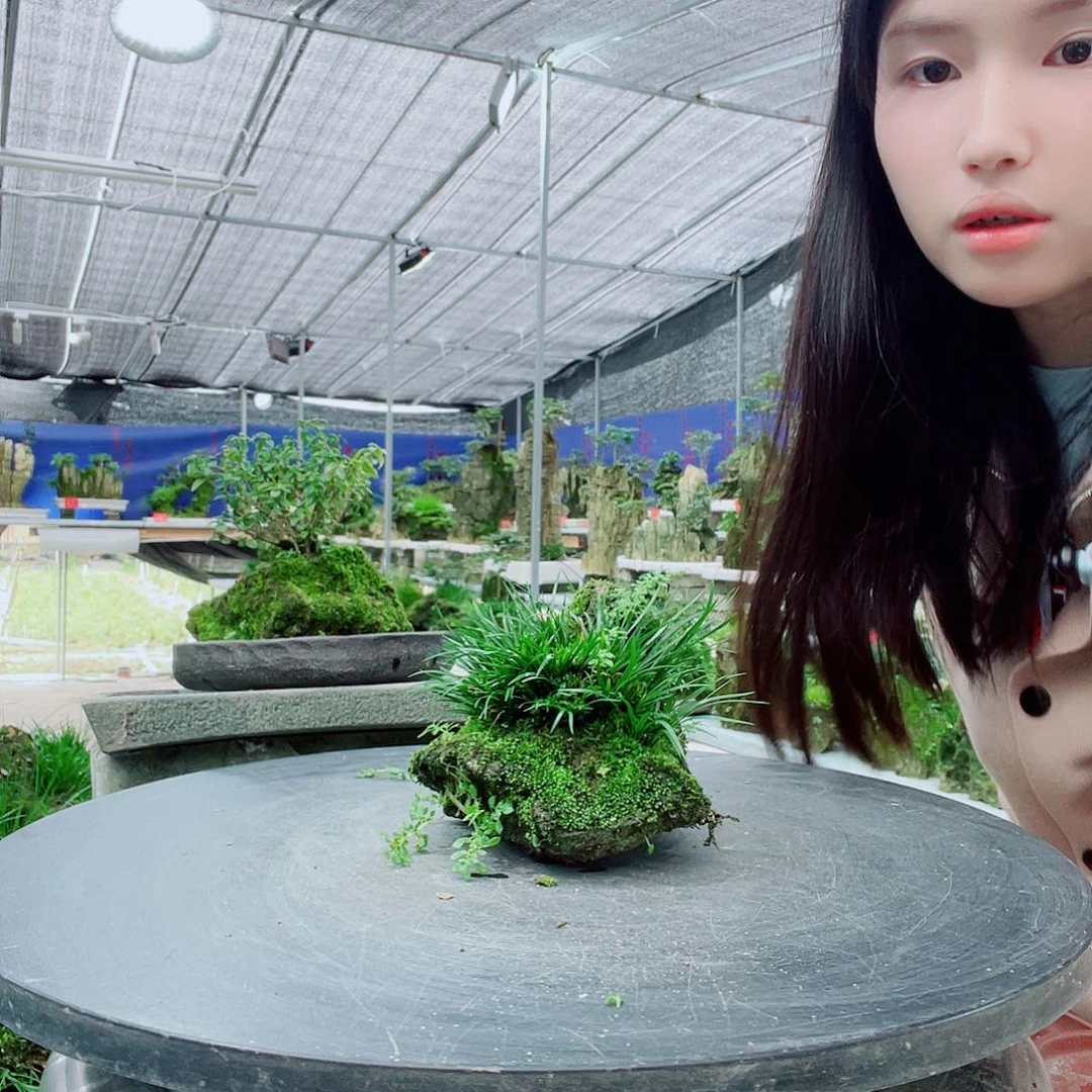 爱***鱼无花朵ghvh意阔老师