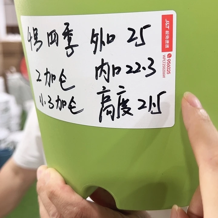 四季4号特价白色8个无托