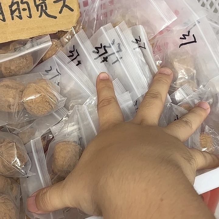 文玩核桃吊坠白狮子36以上一对