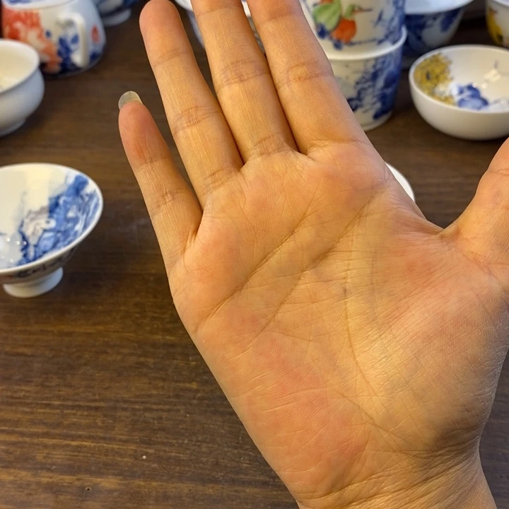 可***～瓷片景德镇陶瓷大学