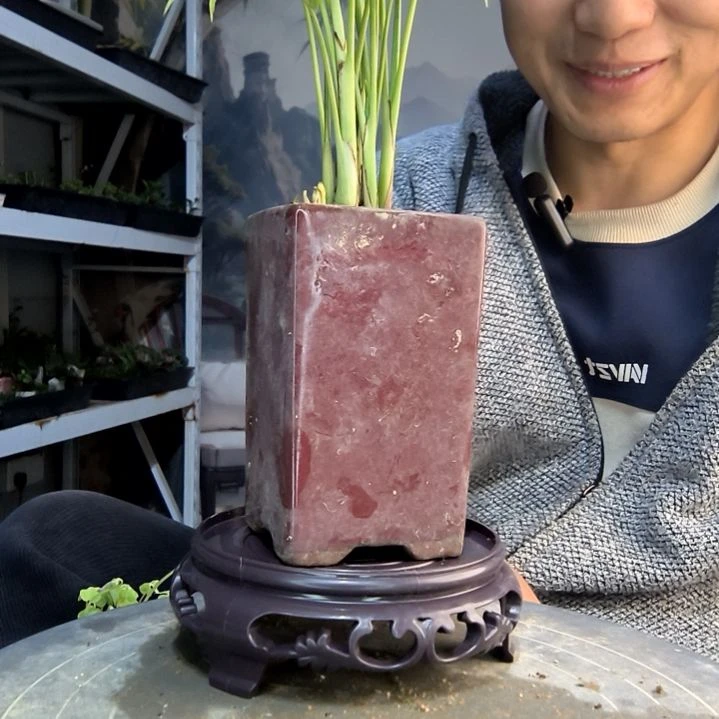 青*小盆景一物一拍175