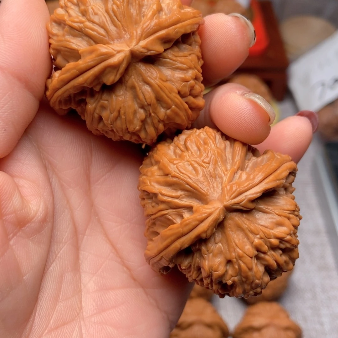 文玩核桃把件白狮子全品44毕业