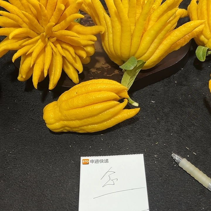 念***完全开放九九九九佛手