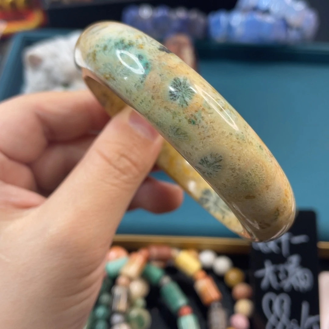 未镶嵌手镯硅化玉