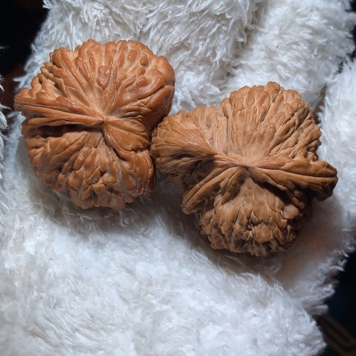 吊坠文玩核桃天核之核，白狮子，全品，40