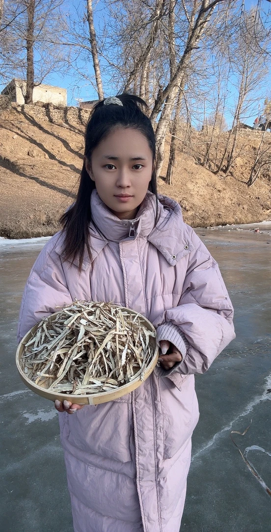 当归身切片（股片）