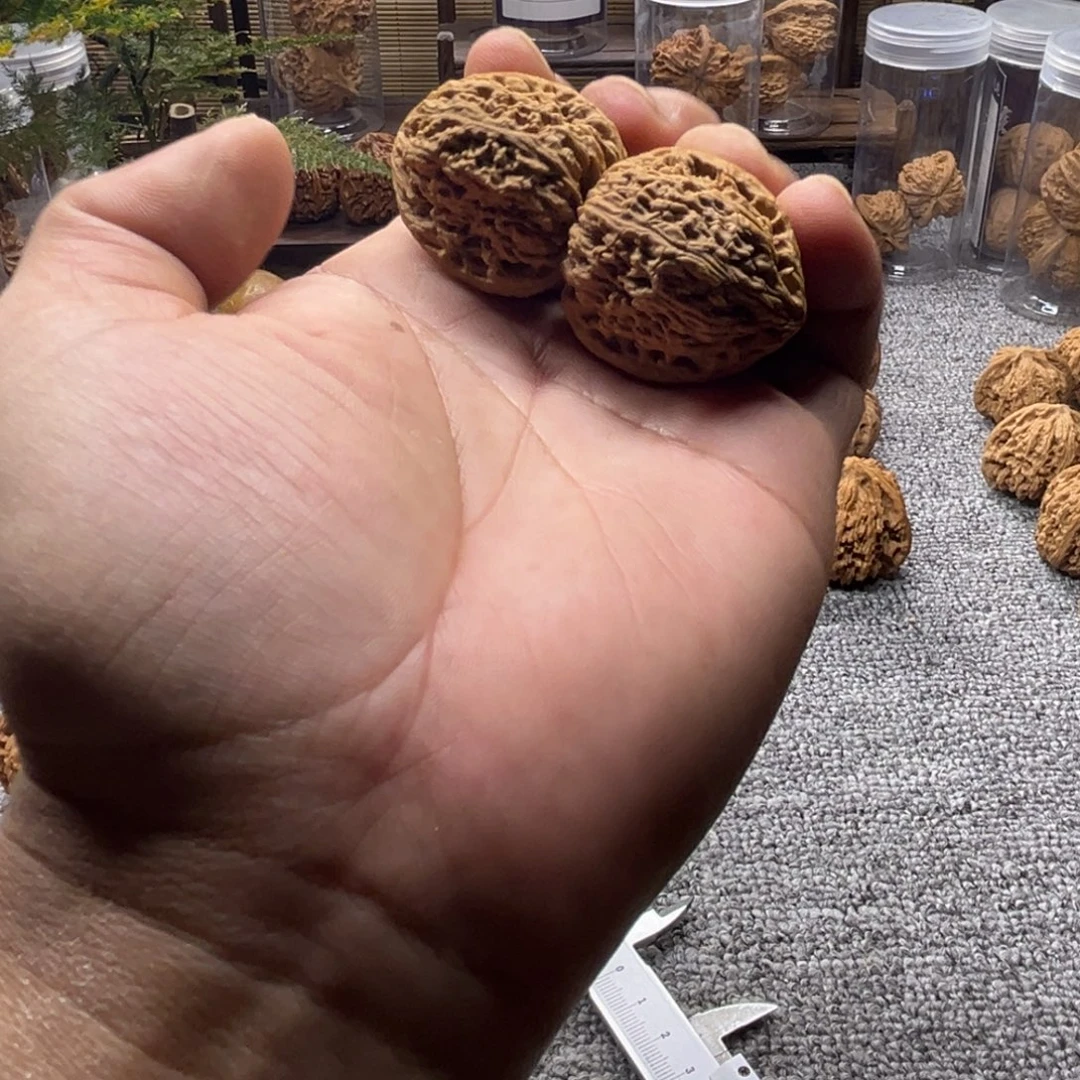 把件文玩核桃逐鹿南疆