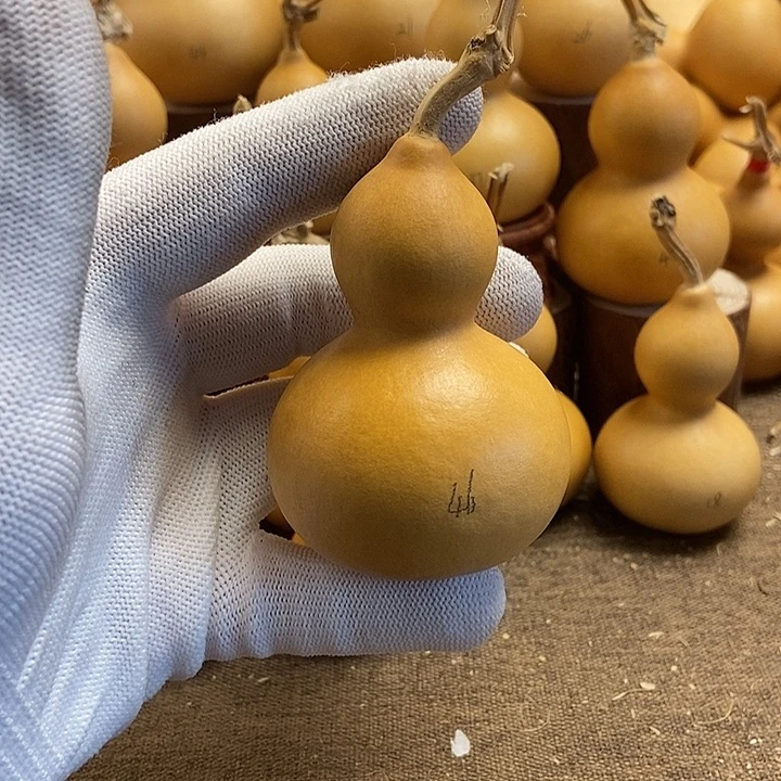 文玩葫芦 完美主义者 慎拍46