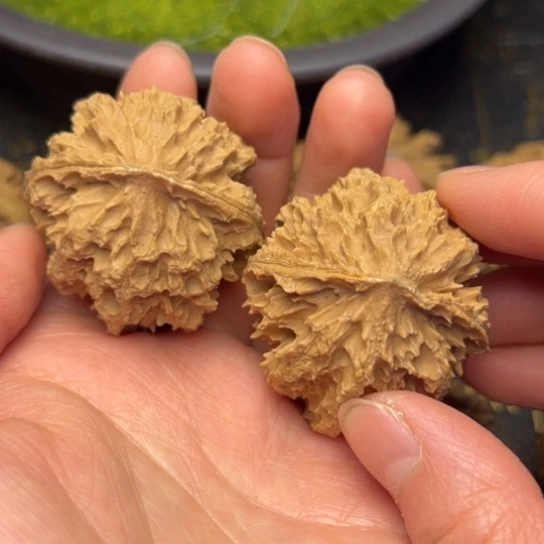 文玩核桃把件秦岭核桃13