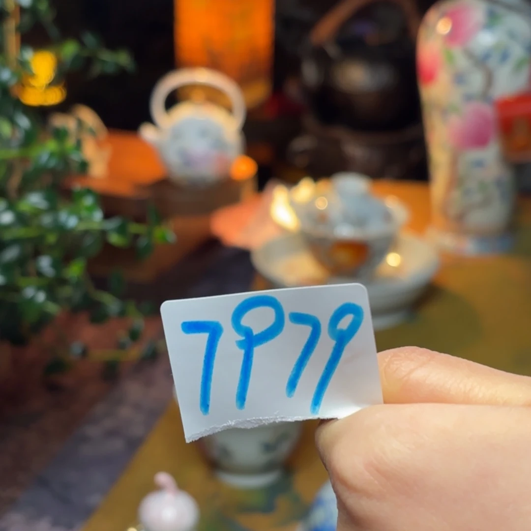 陶精工盖碗超级福利