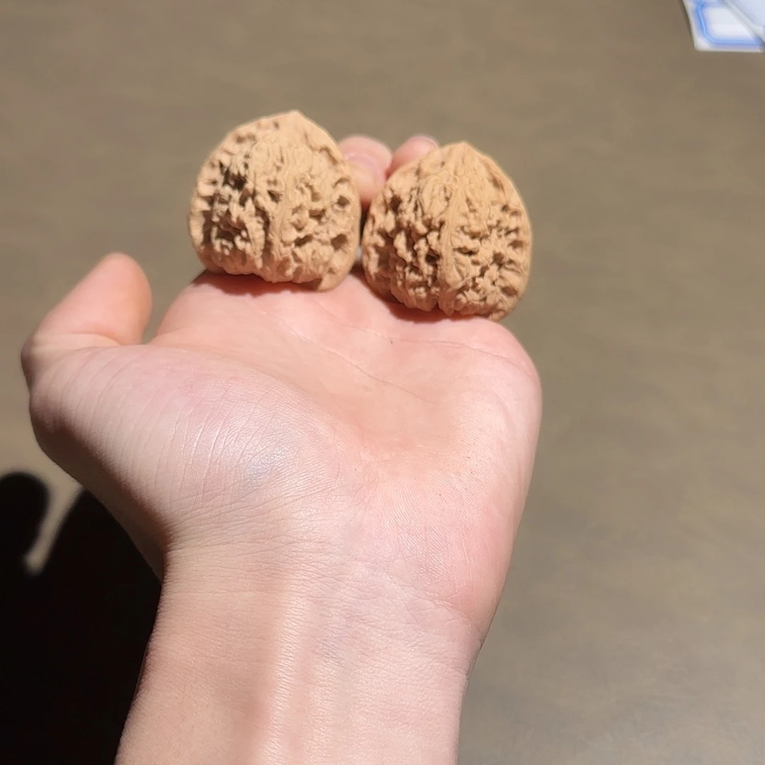 核桃40全家福涿鹿一代南疆