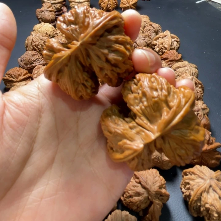 全品白狮子挂角46尺寸核桃哈哈哈哈哈哈哈