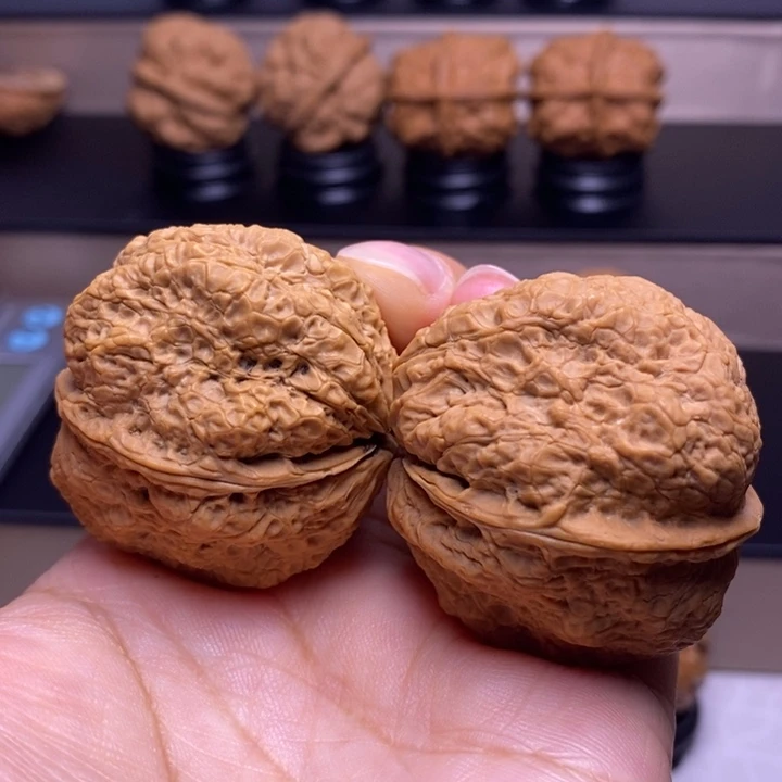 把件文玩核桃蝴蝶蟾72
