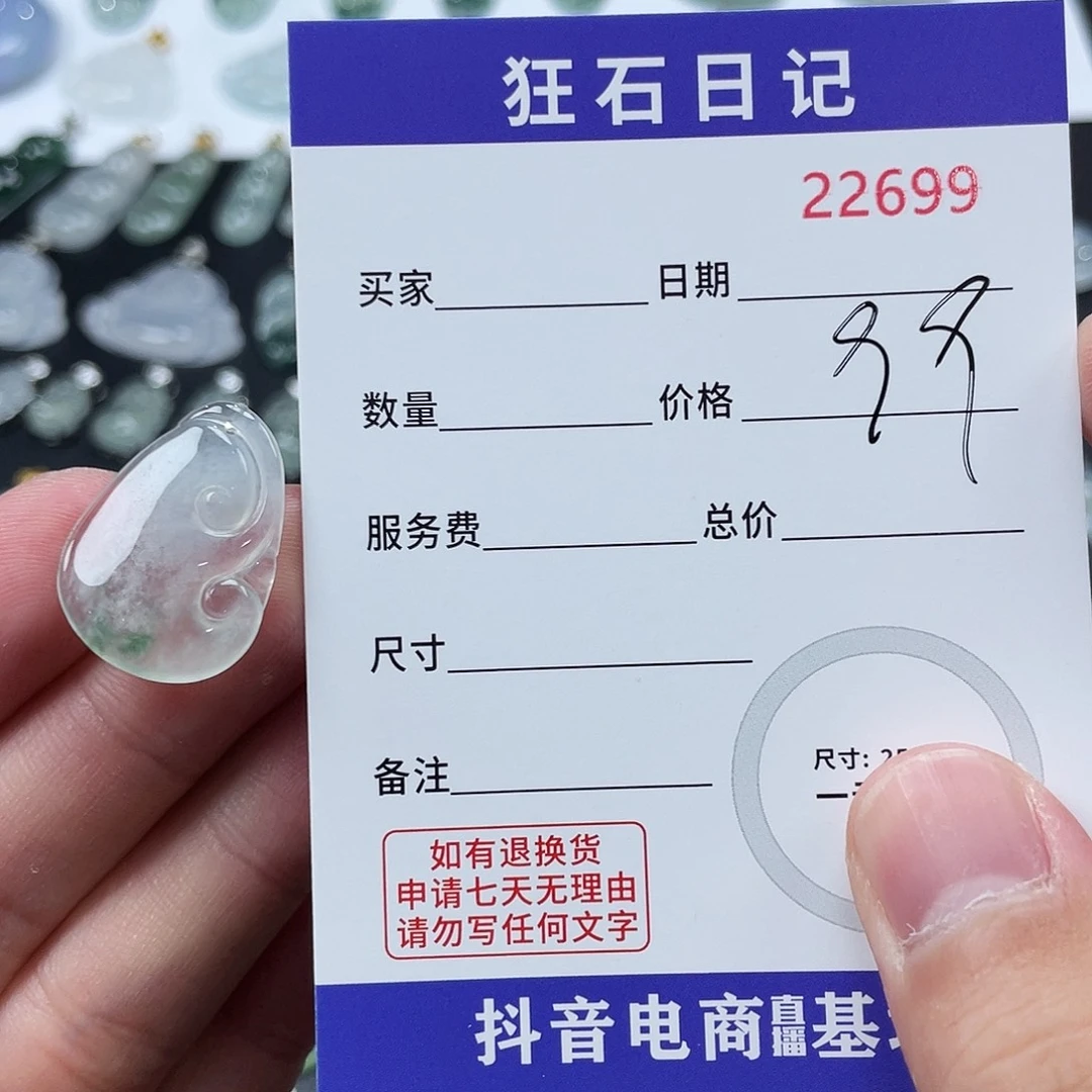 翡翠银S925镶嵌颈饰