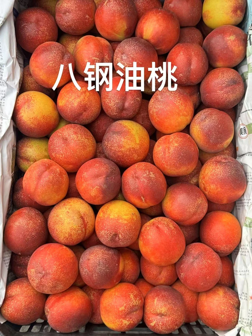 【顺丰空运】乌鲁木齐八钢黄肉麻点油桃，脆甜可口，黄色果肉特别甜