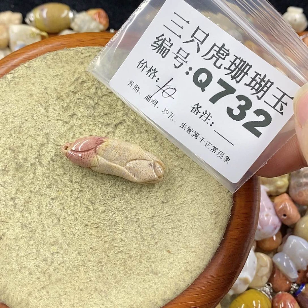 硅化珊瑚（珊瑚玉）1未镶嵌庄***水