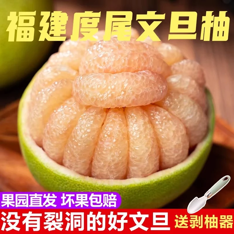 福建仙游正宗度尾文旦柚老树无孔红心蜜柚子当季现摘孕妇新鲜水果