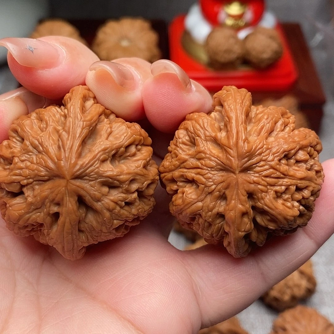 把件文玩核桃43全品毕业粗筋