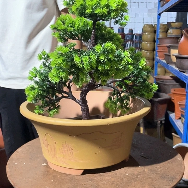 33黄票口花盆花盆花盆