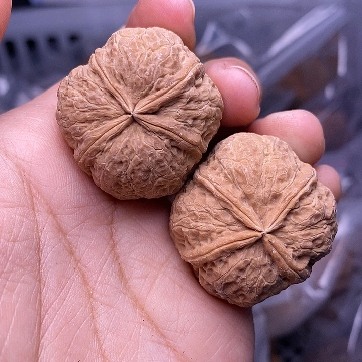 文玩核桃把件   265