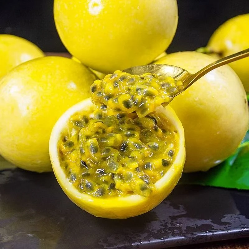 钦蜜9号黄金百香果17枚新鲜采摘现摘现发WW