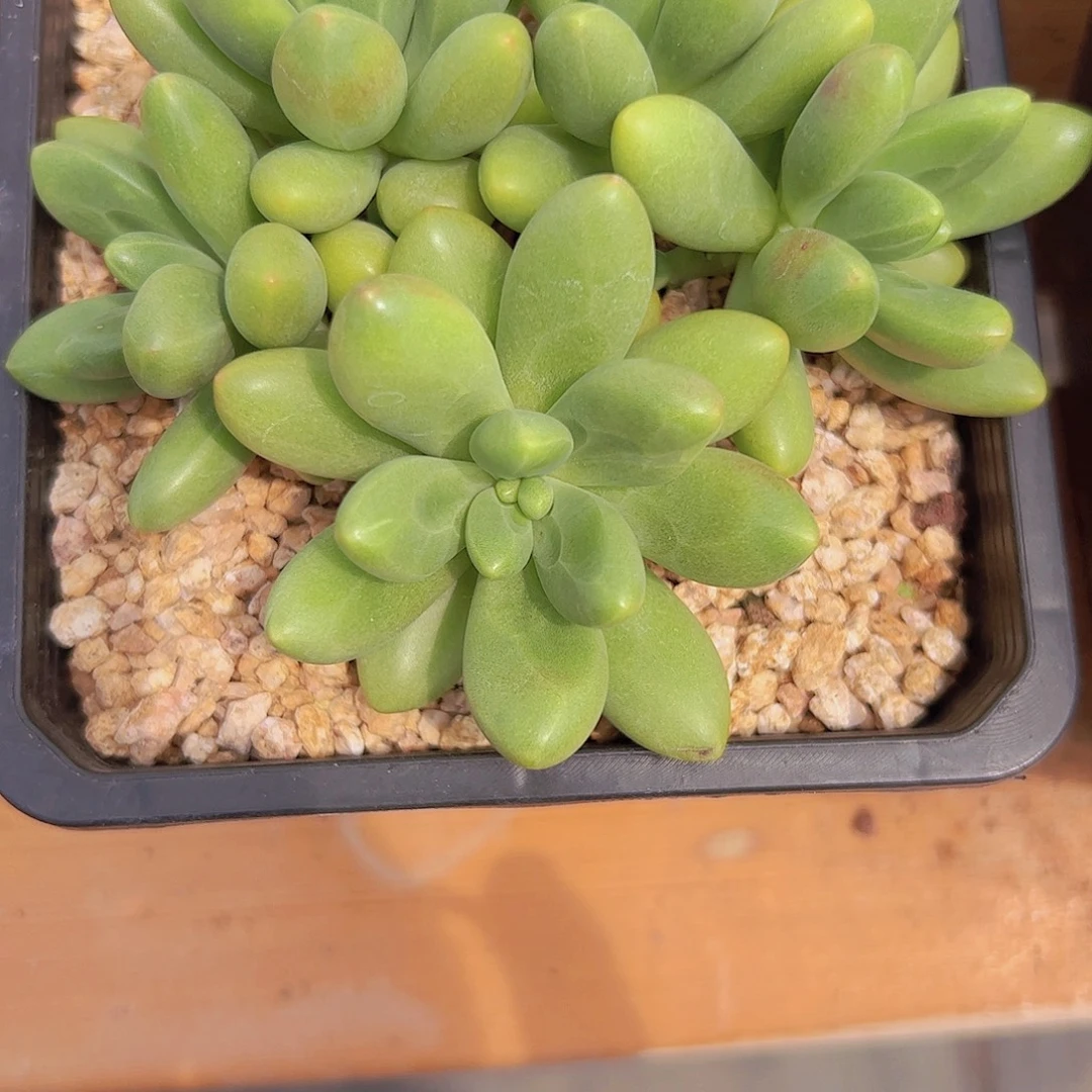 E****鲸落自然群1111111