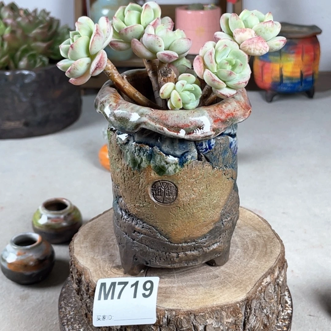 紫砂花盆孤品油画山石中号小老桩 内口6.5 不含肉