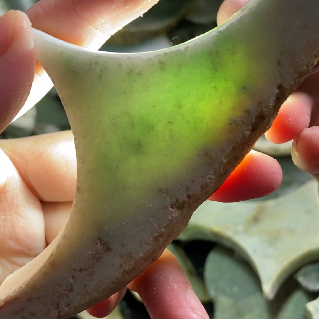 翡翠未镶嵌挂件天然翡翠