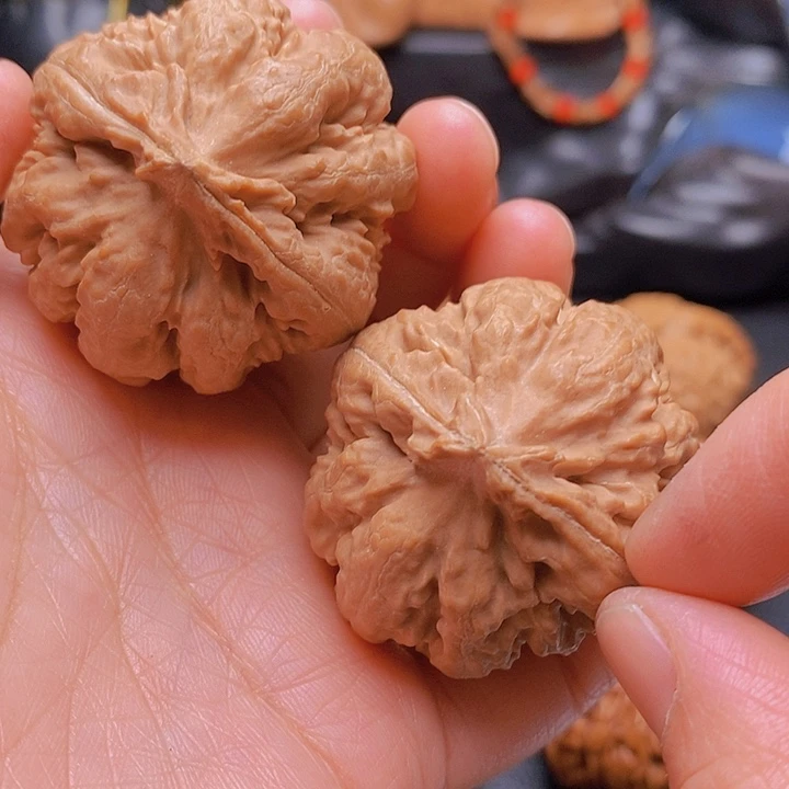 文玩核桃吊坠霸王龙40尺